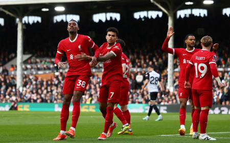 Fulham 1 - 3 Liverpool: Reds Secure Vital Win