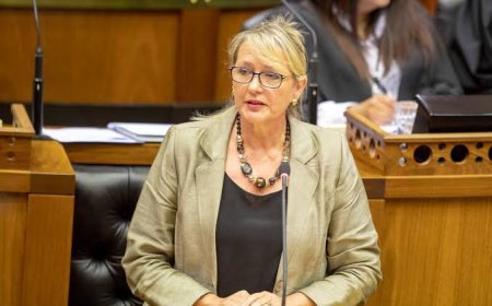 DA's Annelie Lotriet Elected as Deputy National Assembly Speaker in 7th South African National Assembly