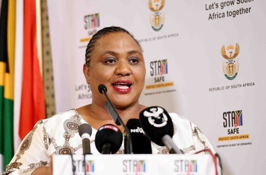 ANC's Thoko Didiza Elected as National Assembly Speaker in Historic 7th South African National Assembly