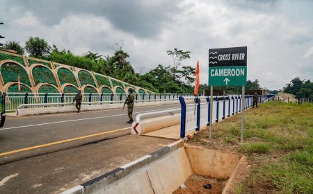 Nigeria and Cameroon to Resolve Border Dispute Through Joint Demarcation by 2025.