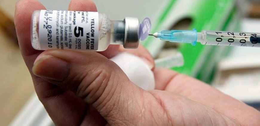 Cameroon Launches Free Yellow Fever Vaccination Campaign in Douala to Curb Outbreak