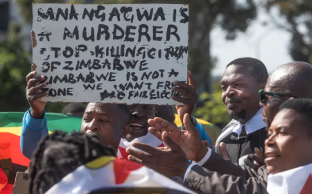 Rising Passport Costs Spur Zimbabwean Nationals to Protest in Pretoria