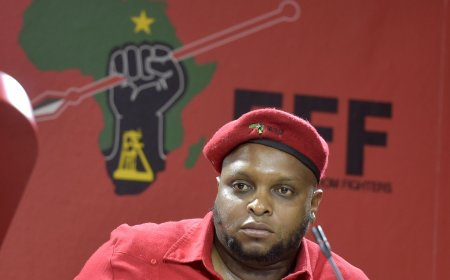 Shivambu’s Departure: Strategic Realignment or EFF Turmoil?
