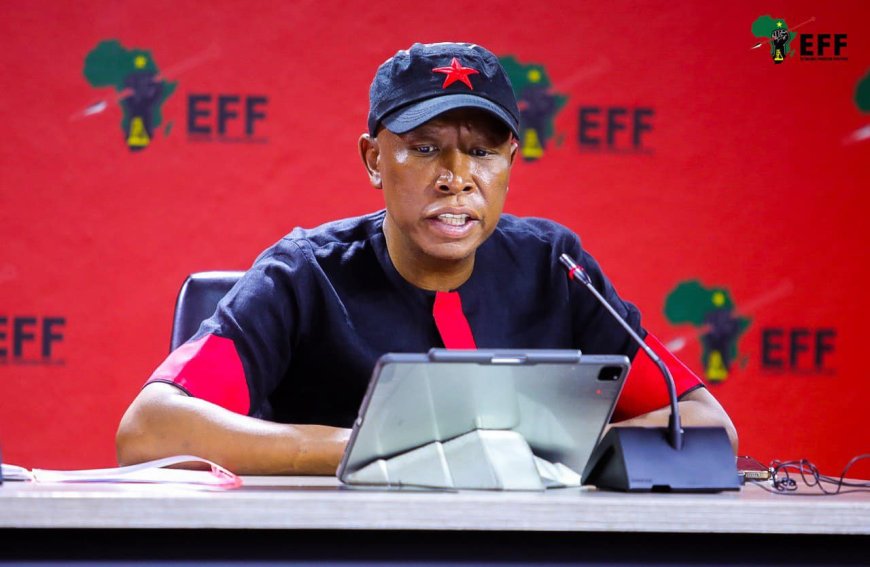 EFF Leader Julius Malema Vows to Save Drip Footwear from Liquidation