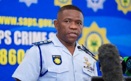 Police Minister Clarifies Investigation against Nhlanhla Mkhwanazi
