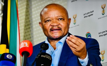 AfriForum Demands Apology from Minister Mchunu Over Alleged Miscommunication in Bergview Case