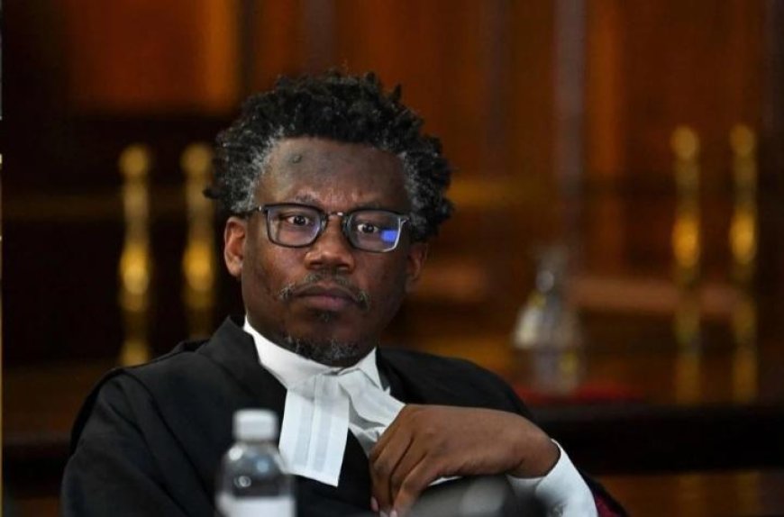 Tembeka Ngcukaitobi Named Honorary Professor at Walter Sisulu University