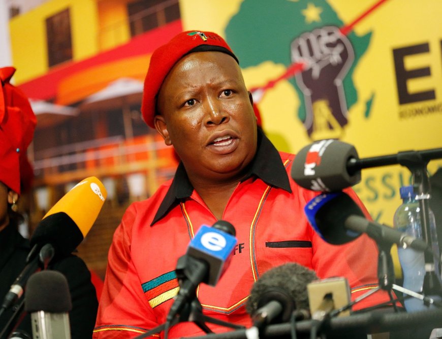 Julius Malema Demands Land Return During EFF Land Reclamation Day Address