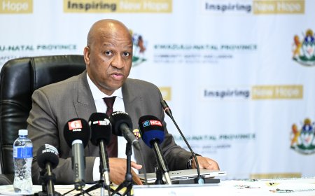 KZN Premier Thamsanqa Ntuli convenes high level roundtable on illegal immigration